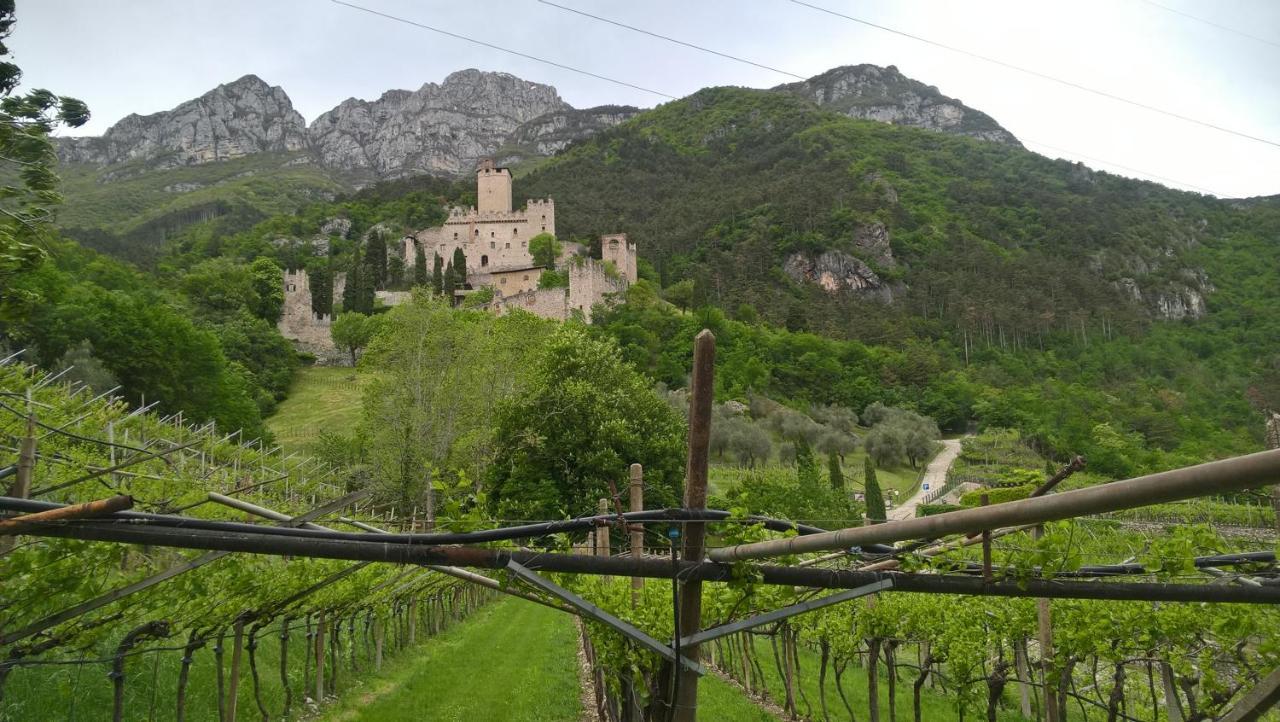 Appartamenti Camere Masi Brenta Роверето Екстер'єр фото